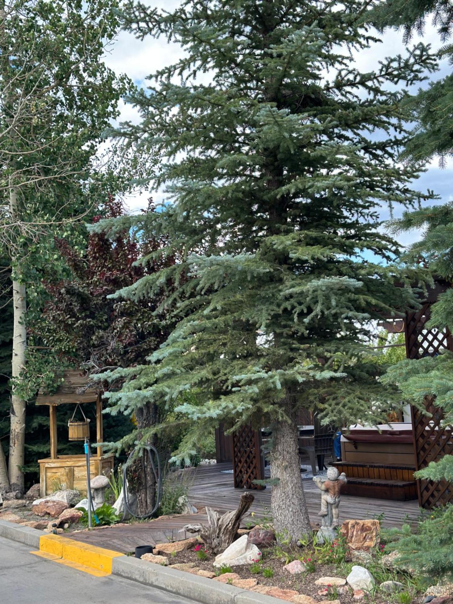 Browns Canyon Inn Salida Exterior photo